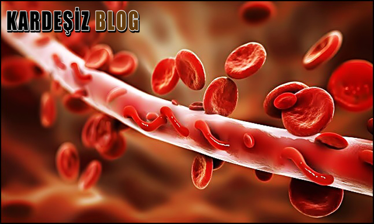 Hemostaz Testinde Neye Bakılır