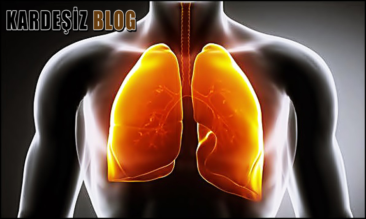 Oskültasyon Nasıl Yapılır