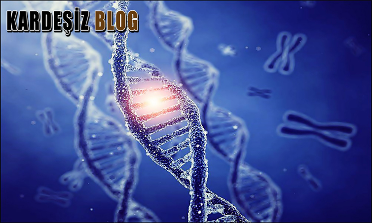 Treacher Collins Sendromu Anne Karnında Anlaşılır Mı