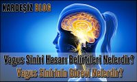 Vagus Siniri Hasarı Belirtileri Nelerdir