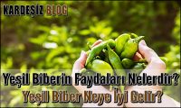 Yeşil Biberin Faydaları Nelerdir