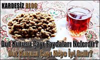 Dut Kurusu Çayı Faydaları Nelerdir