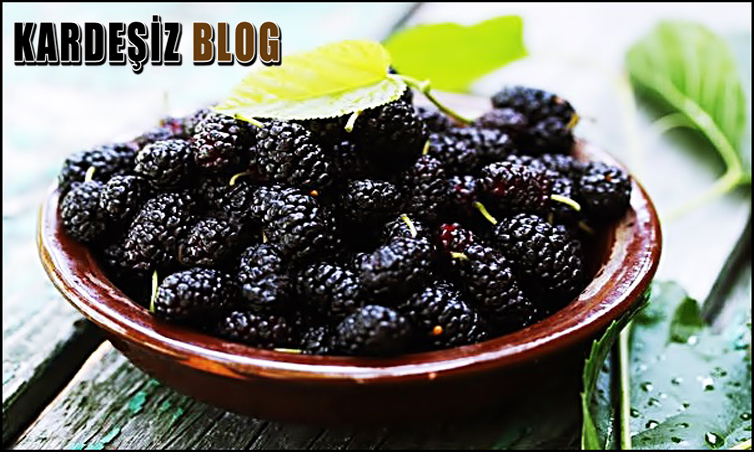 Hamile Anne Karadut Suyu Tüketebilir Mi