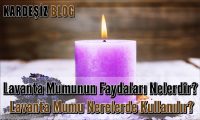 Lavanta Mumunun Faydaları Nelerdir