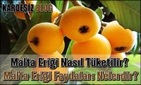 Malta Eriği Nasıl Tüketilir