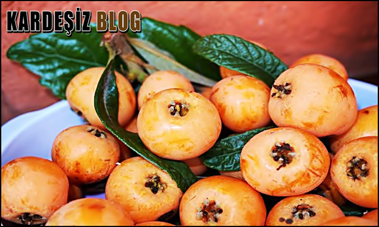 Malta eriğide Hangi Vitaminler Var