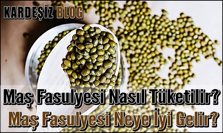 Maş Fasulyesi Nasıl Tüketilir