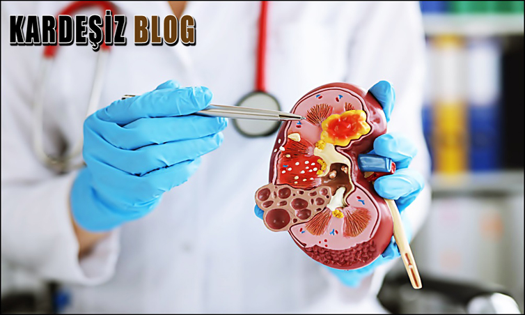 Renin Artarsa Ne Olur