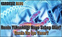 Renin Yüksekliği Neye Sebep Olur