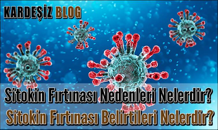 Sitokin Fırtınası Nedenleri Nelerdir