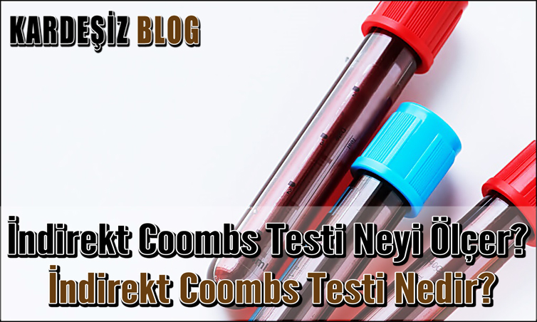 indirekt Coombs Testi Neyi Ölçer