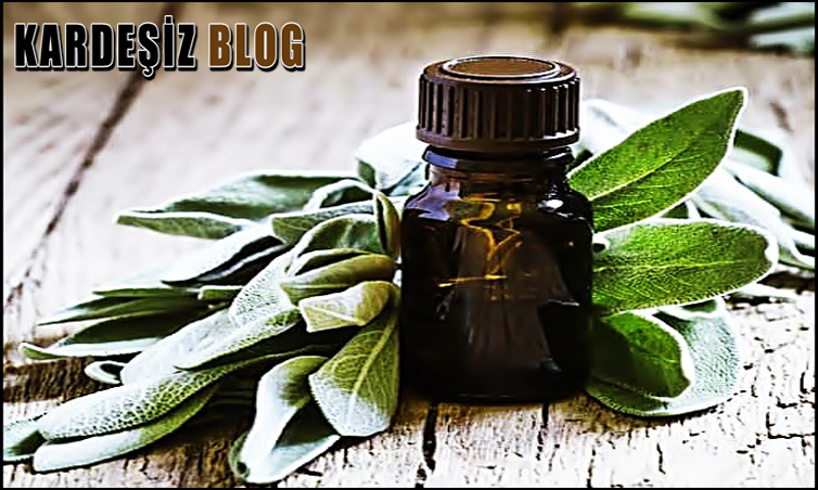 Acı Elma Yağı Gaz Sancısına iyi Gelir Mi