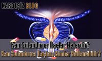 Kan Sulandırıcı ilaçlar Nelerdir