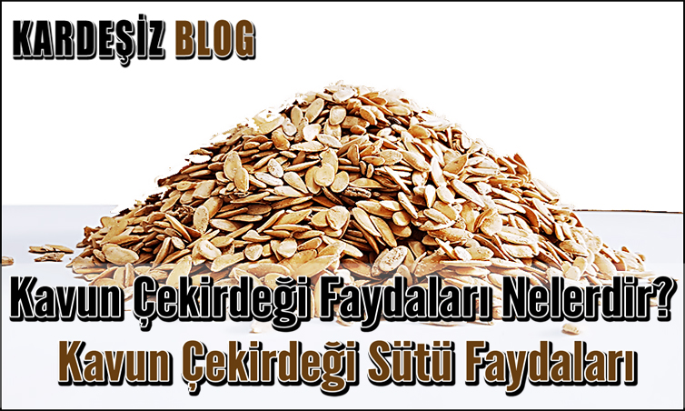 Kavun Çekirdeği Faydaları Nelerdir