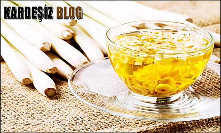 Limon Otu Zararları Var Mı