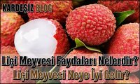 Liçi Meyvesi Faydaları Nelerdir