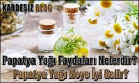 Papatya Yağı Faydaları Nelerdir