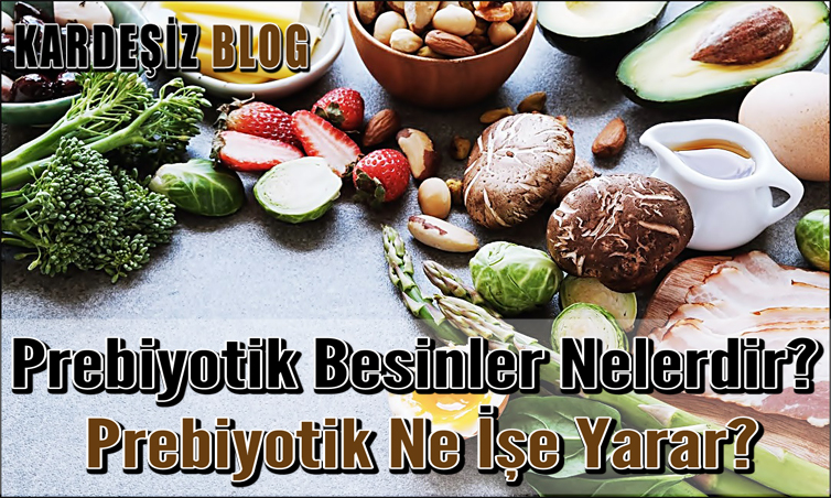 Prebiyotik Besinler Nelerdir