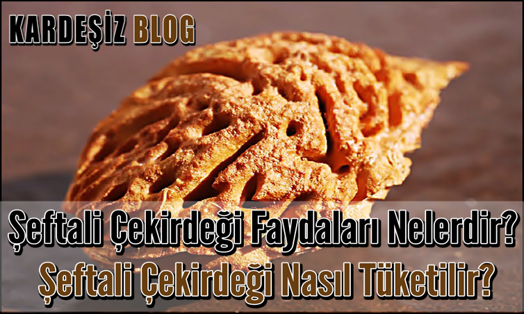 Şeftali Çekirdeği Faydaları Nelerdir