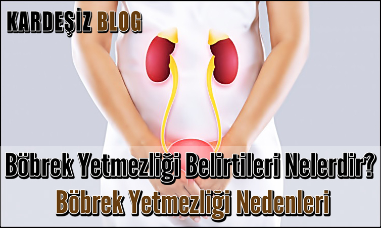 Böbrek Yetmezliği Belirtileri Nelerdir