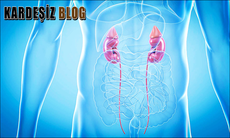 Böbrek Yetmezliği Nasıl Anlaşılır