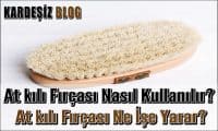 At kılı Fırçası Nasıl Kullanılır