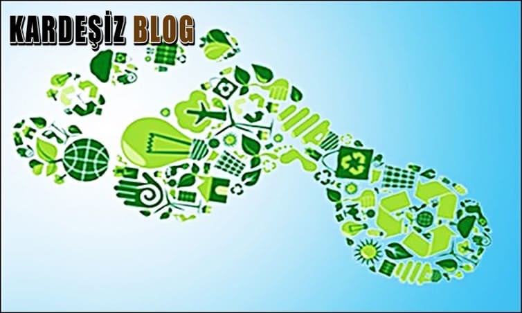 Karbon Ayak izi Hangi Metodoloji ile Hesaplanır