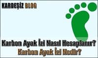 Karbon Ayak izi Nasıl Hesaplanır