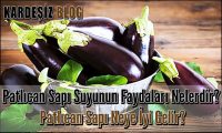 Patlıcan Sapı Suyunun Faydaları Nelerdir