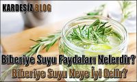 Biberiye Suyu Faydaları Nelerdir
