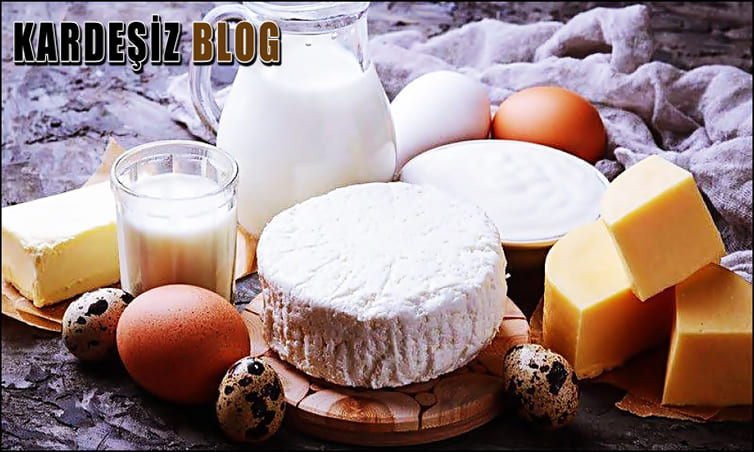 Kalsiyum içeren Besinler Nelerdir