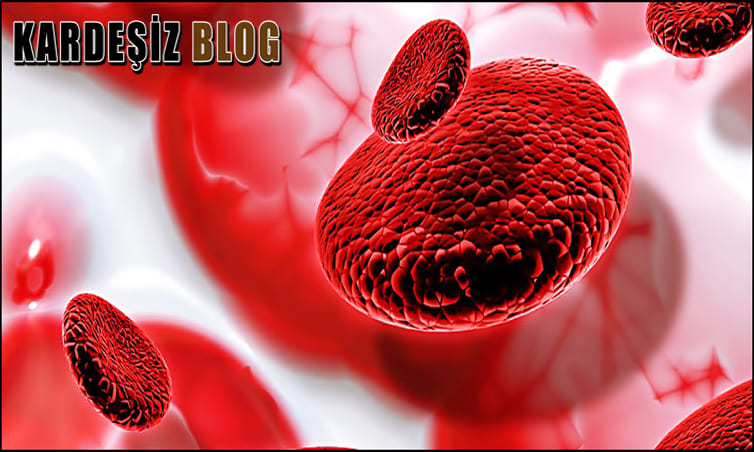 Pernisiyöz Anemi Kanser Mi