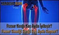 Femur Kırığı Kaç Ayda iyileşir