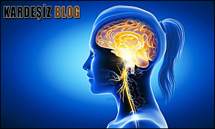 Vagus Siniri Neden Hasar Görür