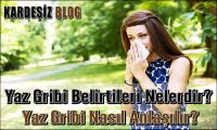 Yaz Gribi Belirtileri Nelerdir