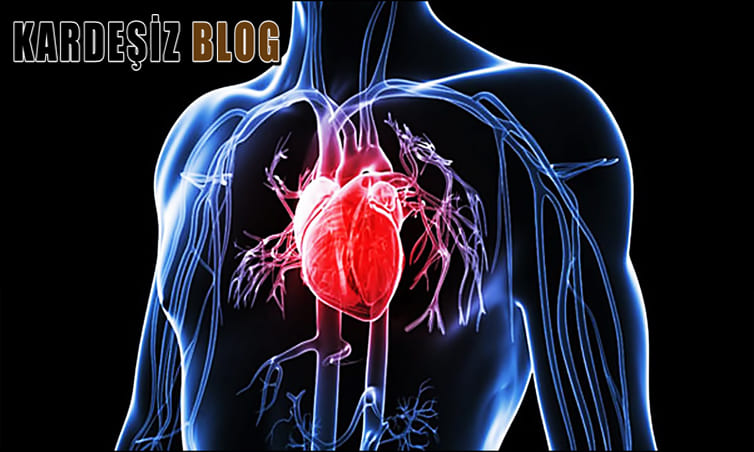 Damarların Tikandigini Nasıl Anlarız