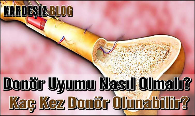 Donör Uyumu Nasıl Olmalı