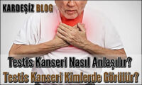 Testis Kanseri Nasıl Anlaşılır