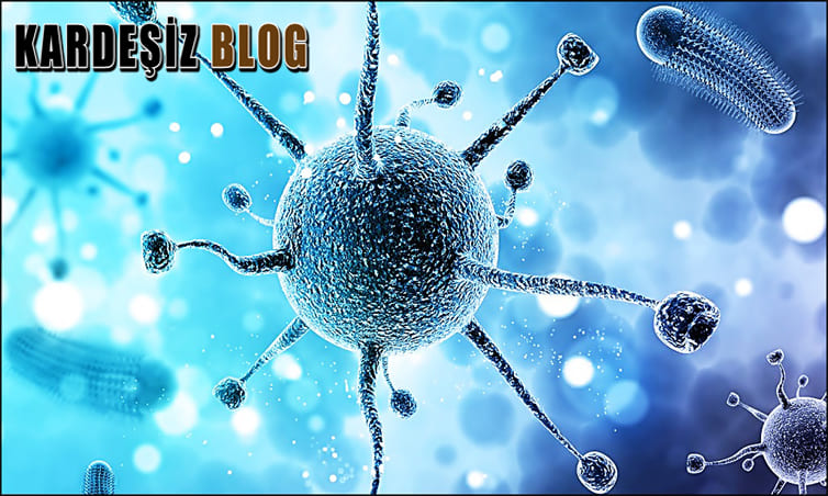 Toksoplazma Solunum Yoluyla Bulaşır Mı