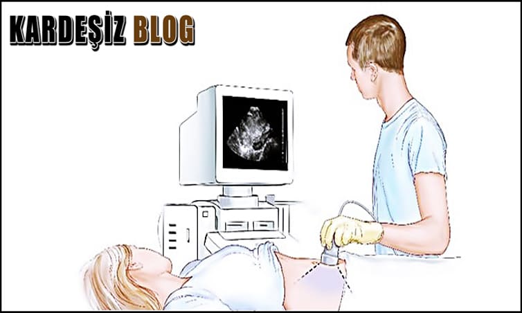 Ultrasonografik Muayenede Neye Bakalır