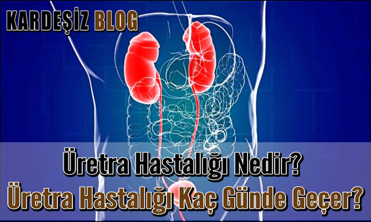 Üretra Hastalığı Nedir