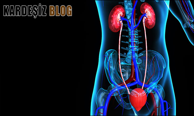 Üriner Enfeksiyon için Hangi Doktora Gidilir