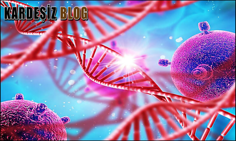 Yassı Epitel Kanser Mi