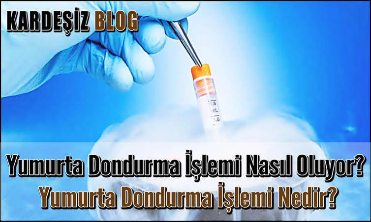 Yumurta Dondurma işlemi Nasıl Oluyor