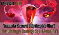 Yumurta Rezervi Düşükse Ne Olur
