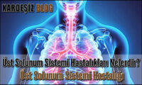 Üst Solunum Sistemi Hastalıkları Nelerdir