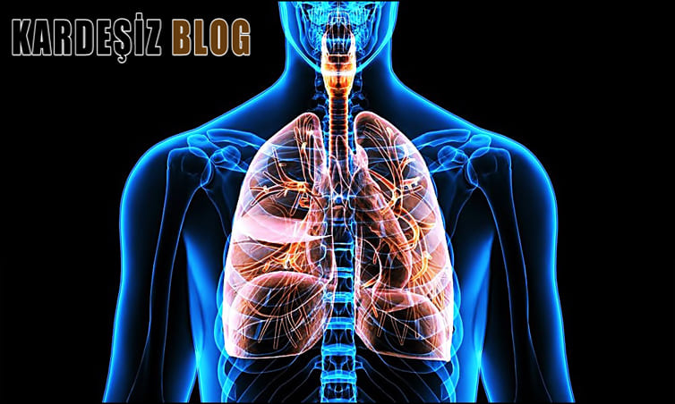 Akciğere En Çok Ne Zarar Verir