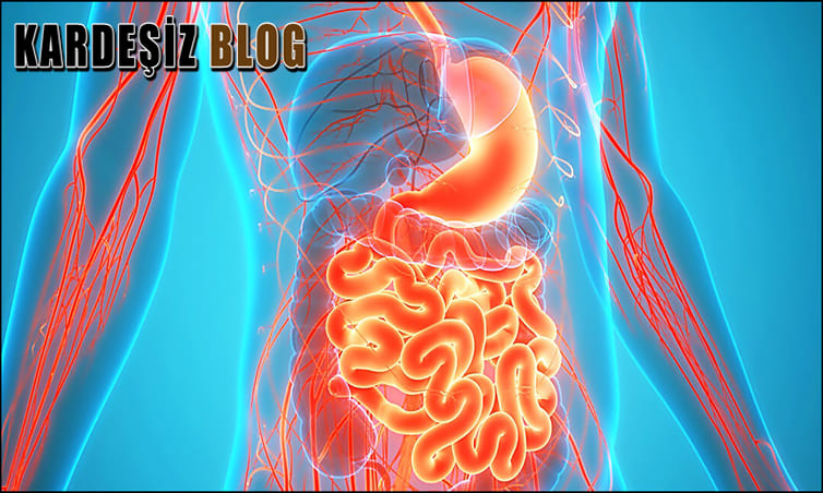 Bağırsak Problemine Hangi Bölüm Bakar