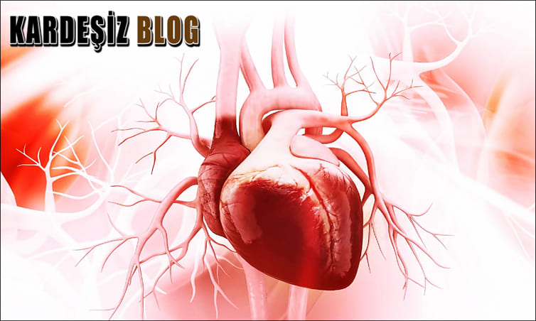Kalp Yetmezliği Olanlar Kaç Sene Yaşar
