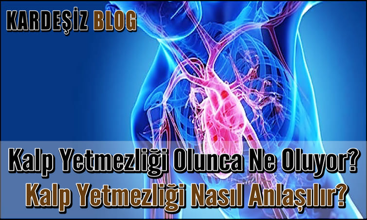 Kalp Yetmezliği Olunca Ne Oluyor